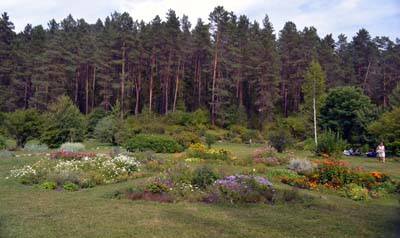 Горно-Алтайский ботанический сад. (© annarezanova || fotki.yandex.ru)