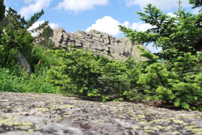На вершине Синюхи. «Каменная стена». (© RinaCat || panoramio.com)