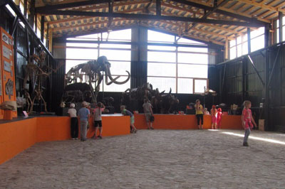 Экспозиция «Мамонты и динозавры». (© vk.com/paleopark)